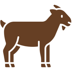 Eid Days Qurbani